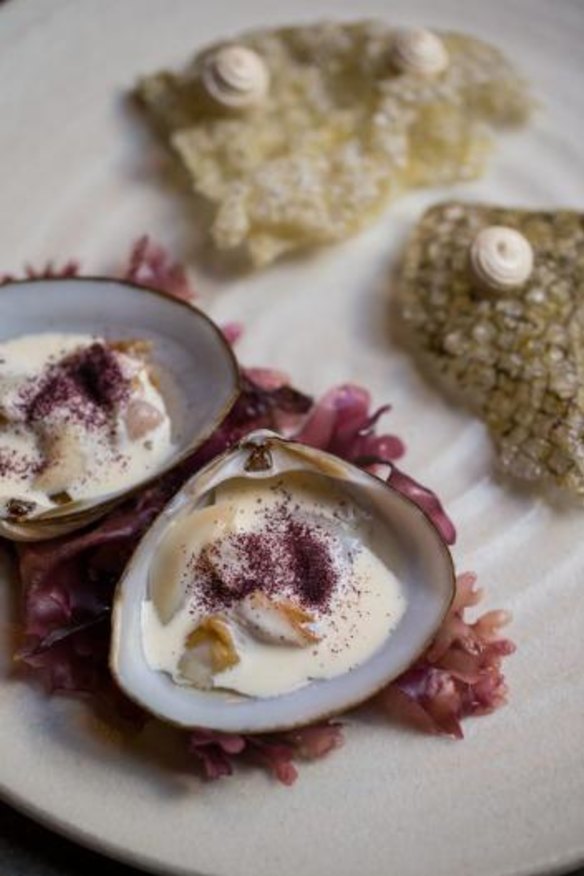 Automata's storm clam, rosemary dashi with fried fish skin.