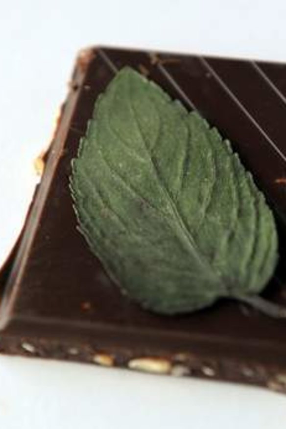 Chocolate mint leaf on a square of dark chocolate.
