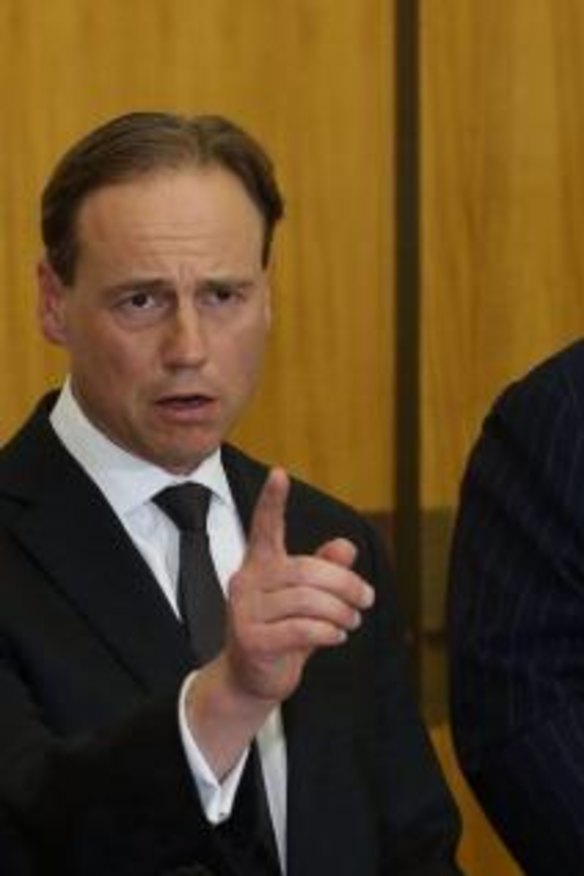 Clive Palmer and Environment Minister Greg Hunt during a press conference at Parliament House in Canberra on Wednesday.