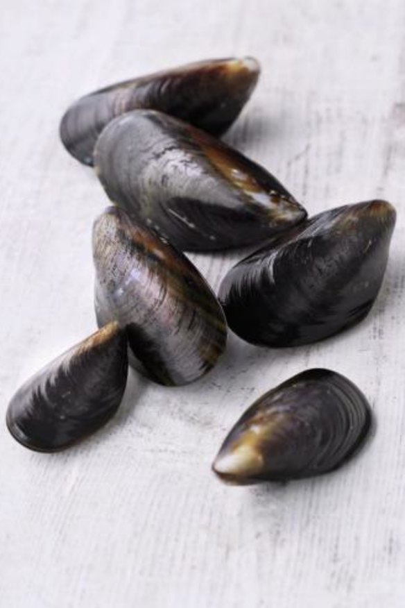 If a farmed mussel doesn't open when you cook it, it is still fine to eat.