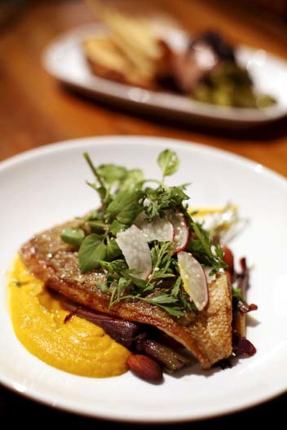Grilled market fish of the day with roasted heirloom carrot salad, toasted almonds and carrot puree.