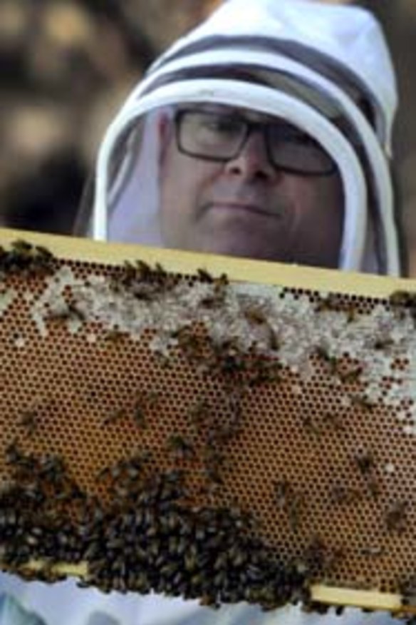 The Beekeeper: Doug Purdie.