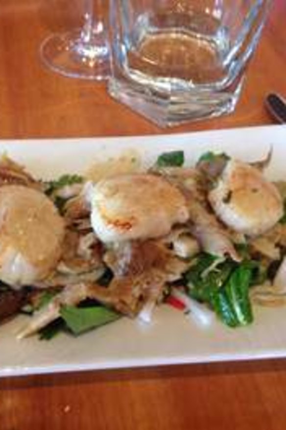 Palmer's plump scallops on a coconut salad.