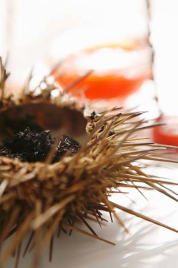 Offer a selection of raw seafood: Try a canape of sea urchin.
