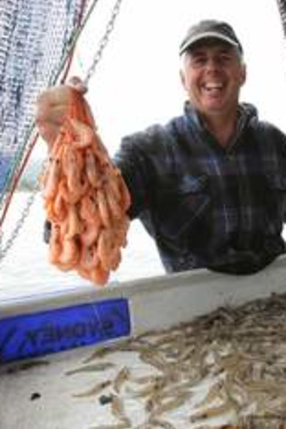 Gary Howard with Hawkesbury River prawns.