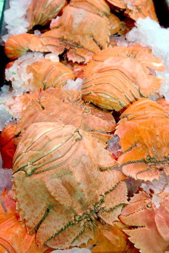 Five things to do with bug meat