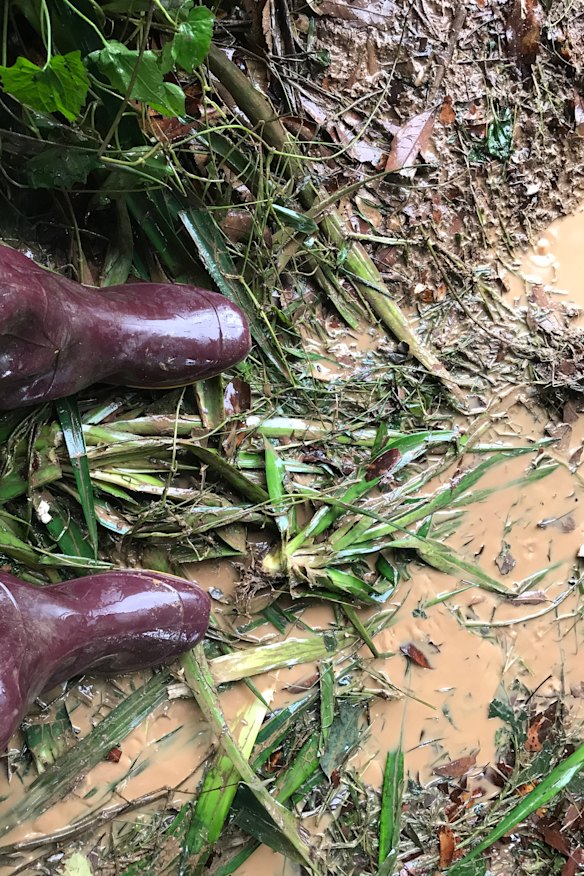 Conditions were wet, humid and muddy, making the long walks between locations challenging.