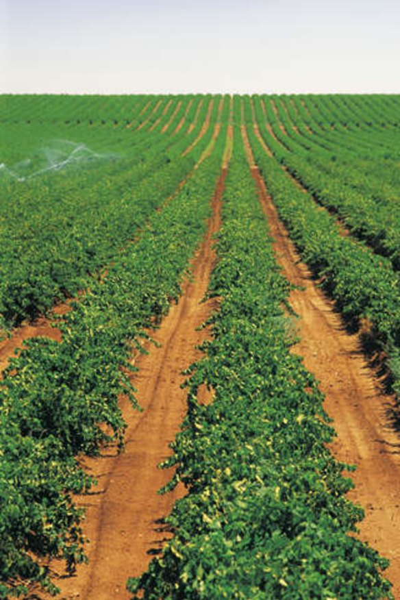The Riverland is changing its grapes and irrigation processes.