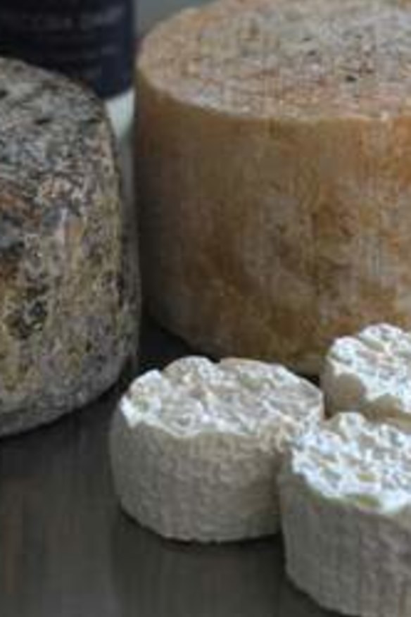 Fresh and seasonal ... Cheese from Pecora Dairy.