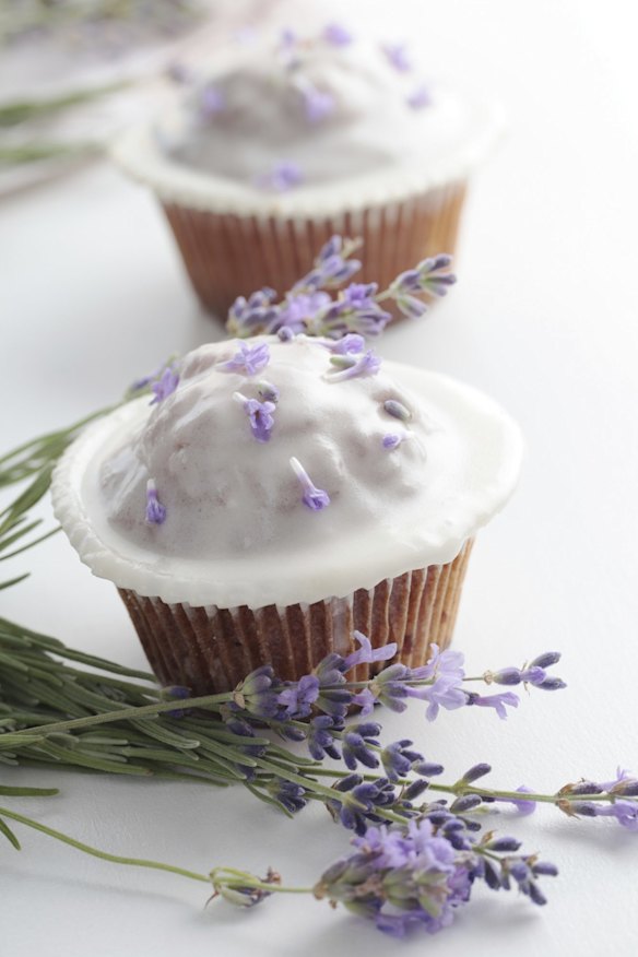 Lavender where you'd least expect it