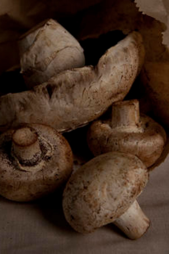 True ... mushrooms keep growing after they've been picked.