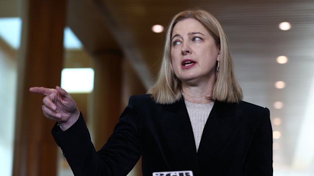 Julie Collins has been peppered with questions before cutting her press conference short, over the government's decision to allow US beef imports into Australia.