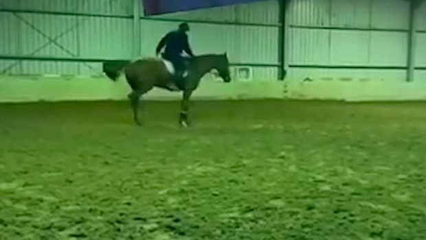The former Australian Olympian has defended his actions on social media, saying it was “life or death” for the horse which was on its way to the knackery.