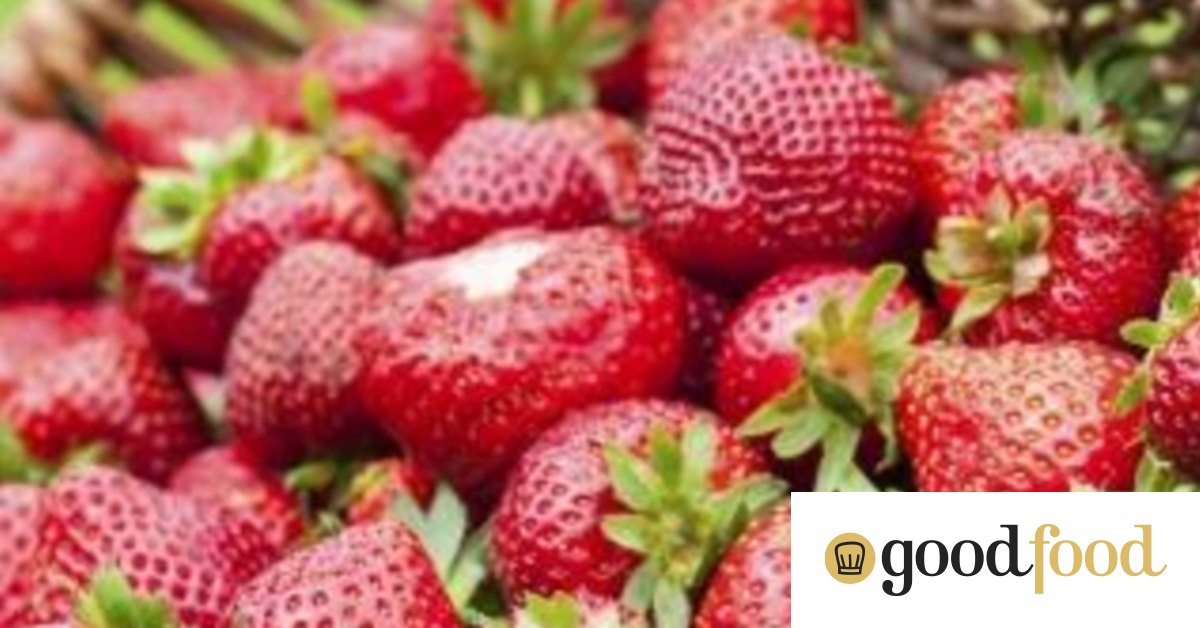 How to grow the best crop of strawberries in Canberra