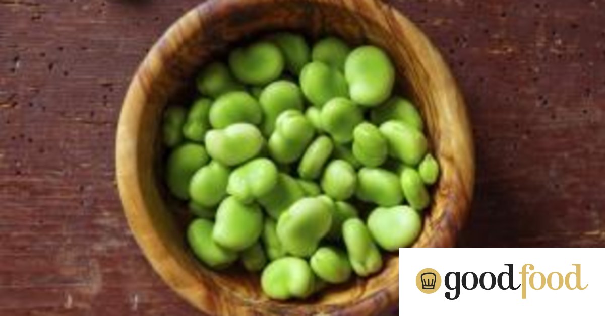 How to grow fava or broad beans in Canberra