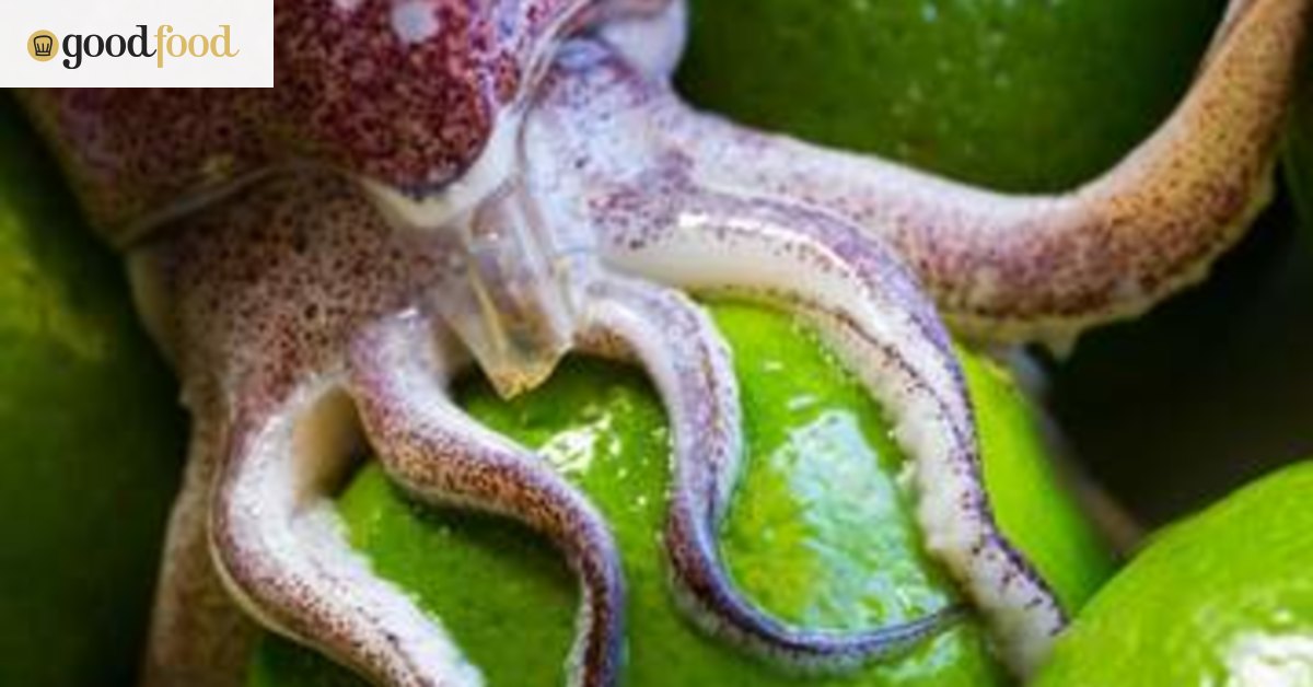 Tricks of squid