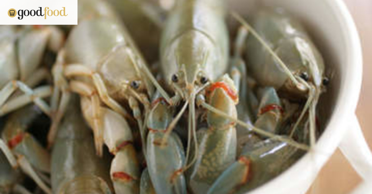 Yearning for yabbies