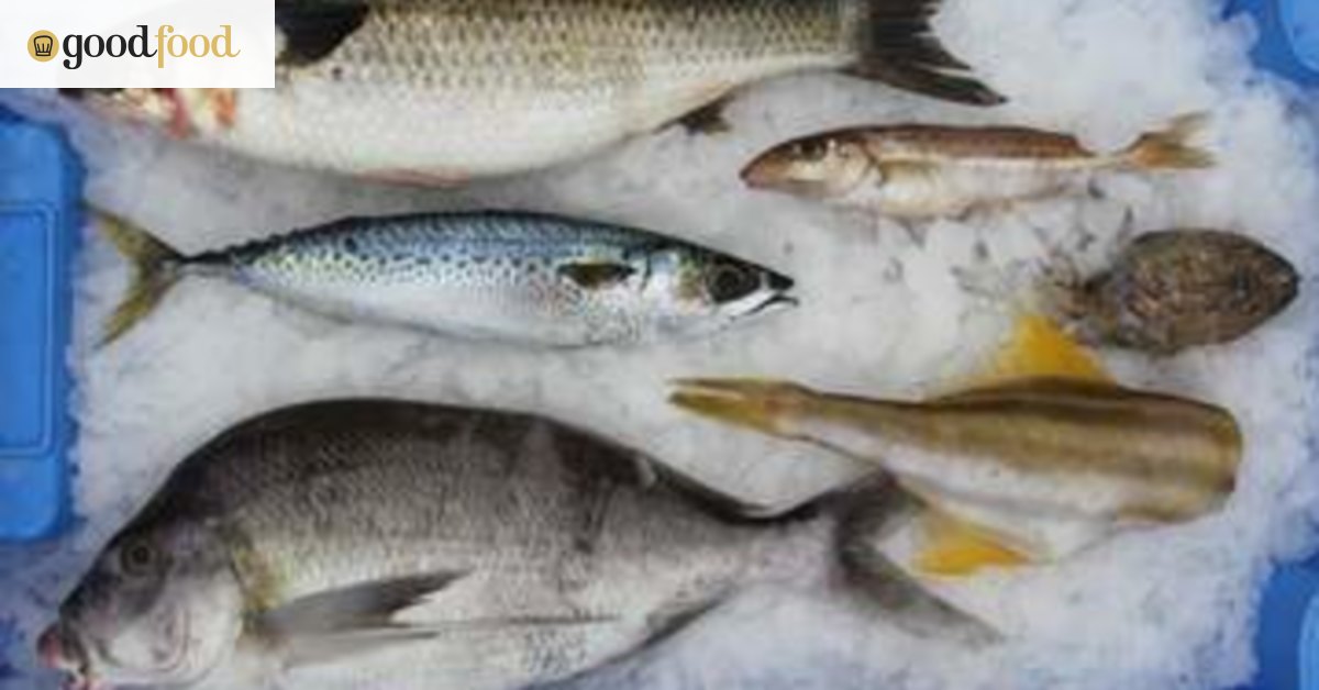 Top 10 fish to try