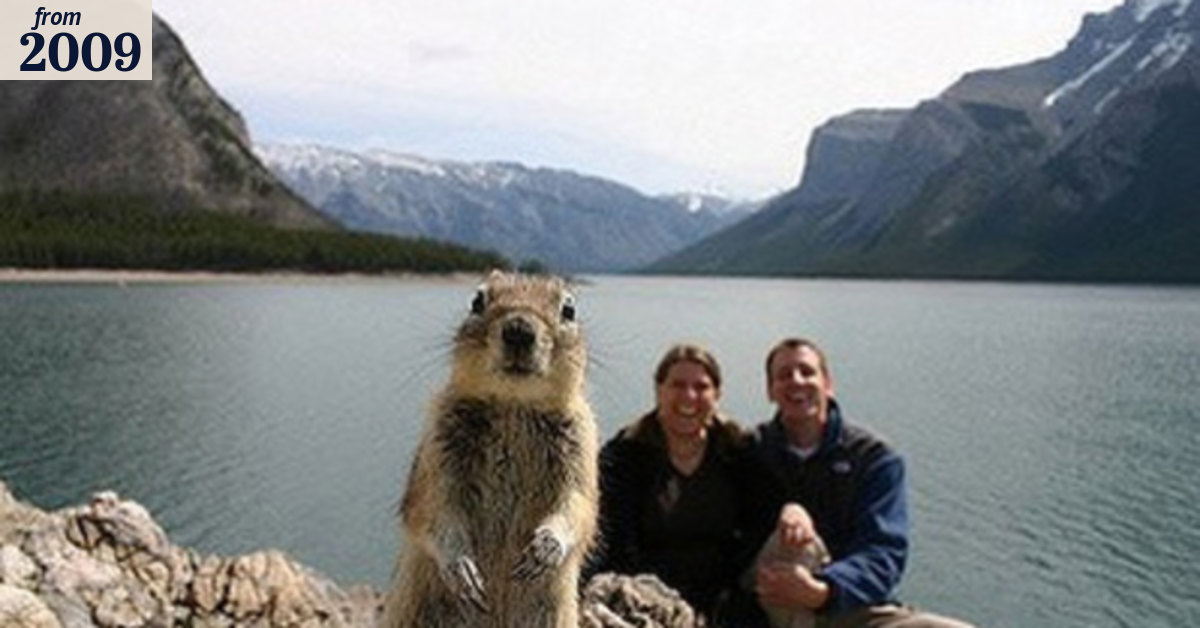It's nuts! Squirrel becomes a web sensation