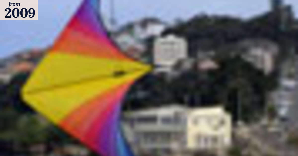 Forget the sharks, beware killer kites