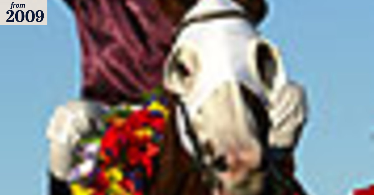 Brilliant Apache Cat retired after injury