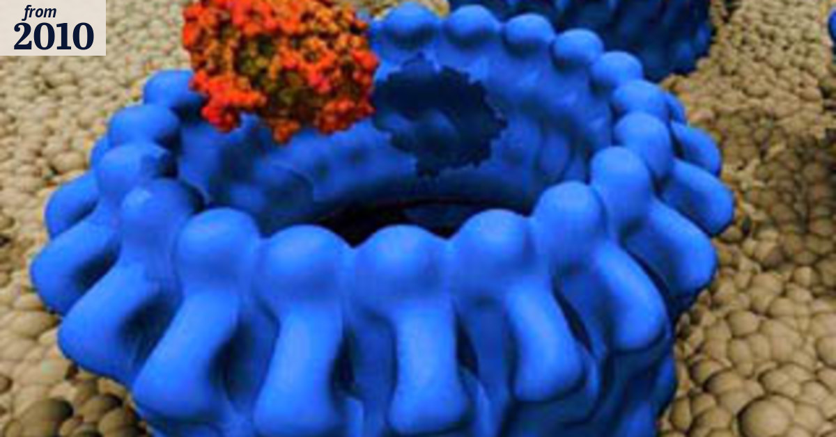 Killer protein find may be cancer breakthrough