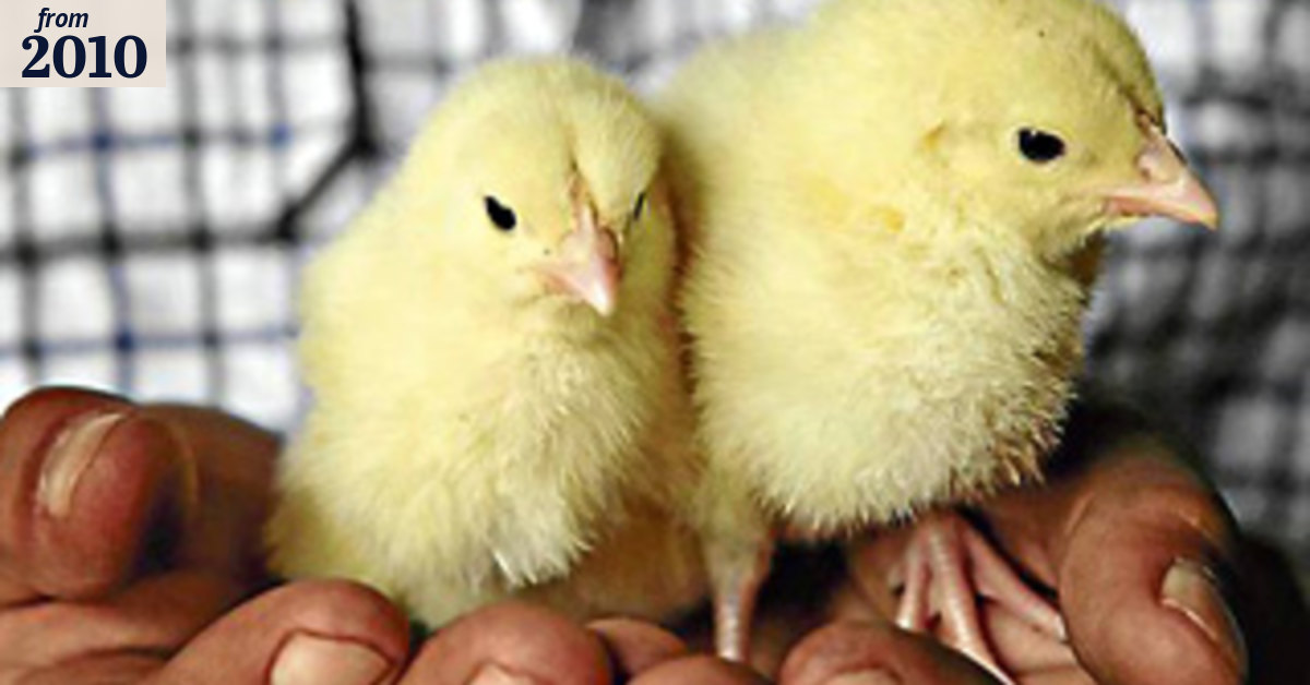 Humane food next big trend