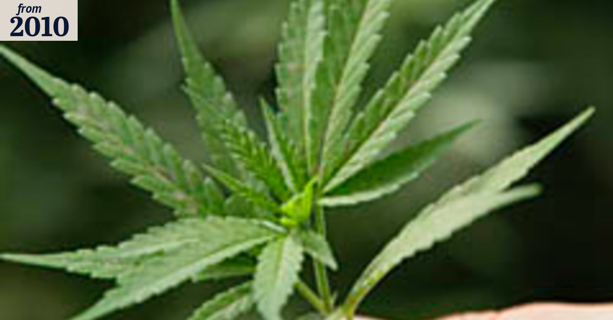 War on drugs? Now that's reefer madness
