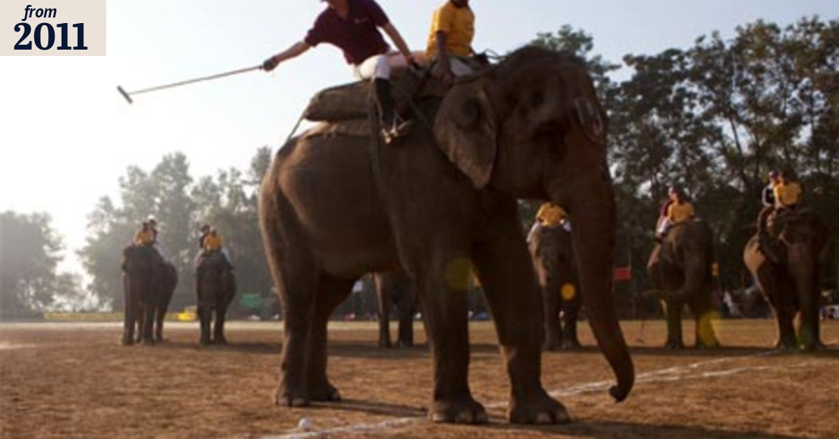 The elephant-riding entrepreneur