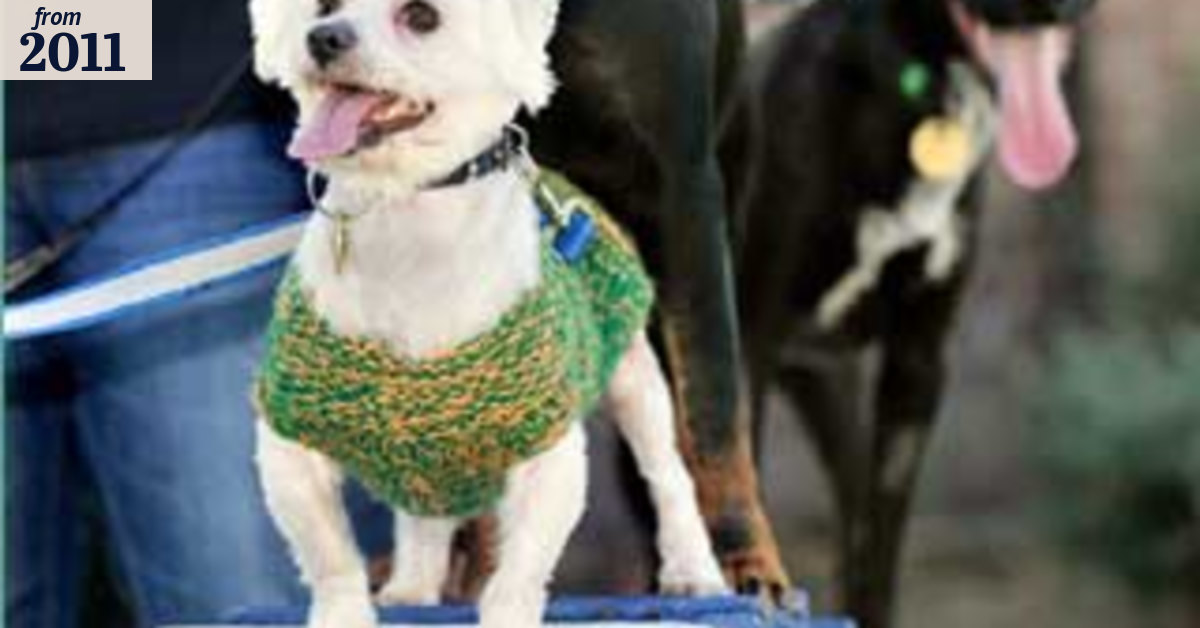 $3m benefactor Frank Samways is a dog's - and the Lost Dogs Home's ...