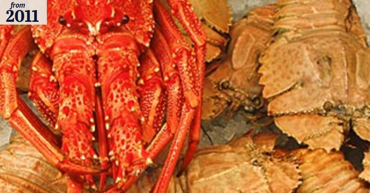 Q Seafood Provedore