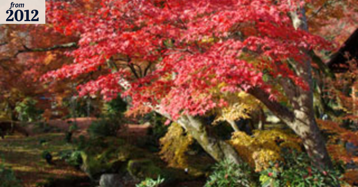 Spring clean for autumn