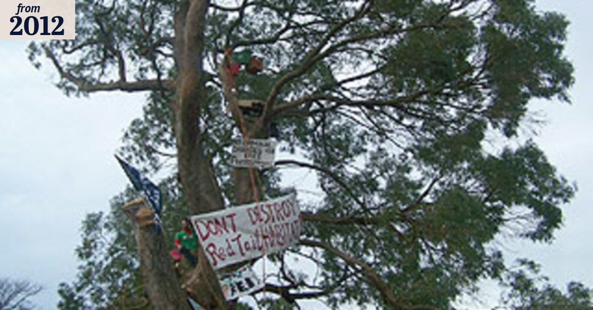 Protesters out on a branch for a tree