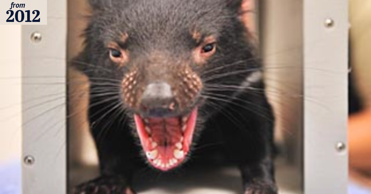 Devils' perils go back more than 3000 years