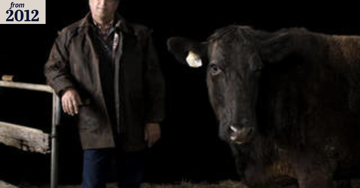 Cattle class