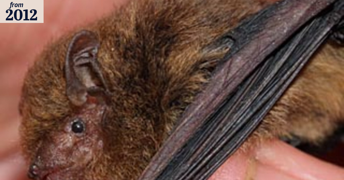 Unmourned death of a sole survivor