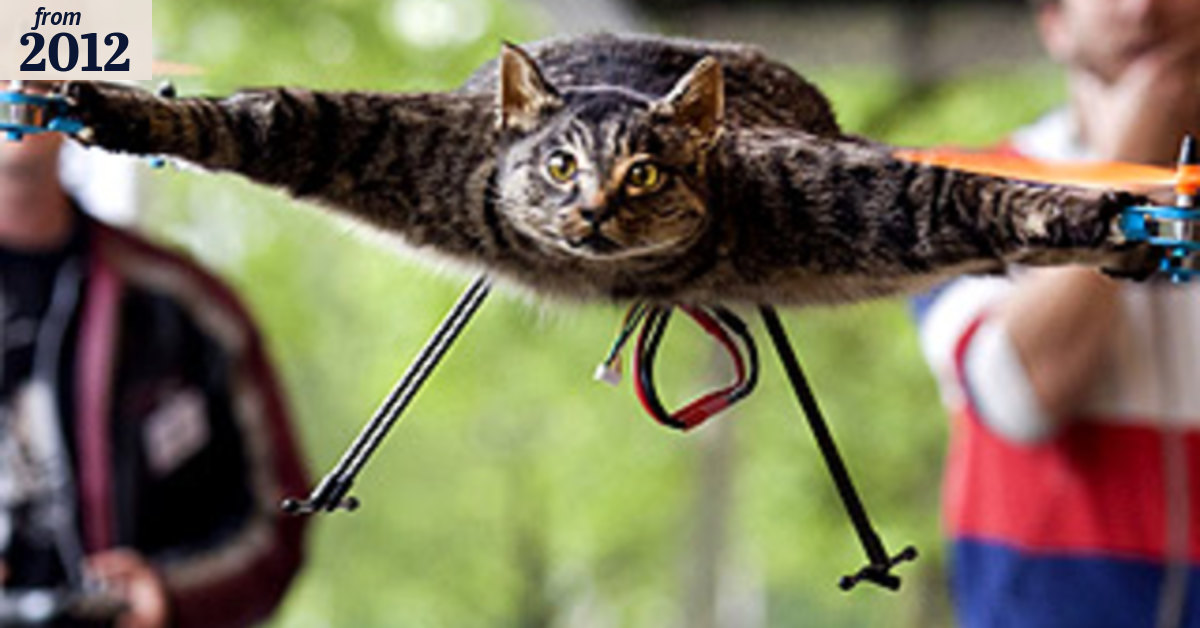 A flying cat? Dutch artist turns dead feline into a helicopter