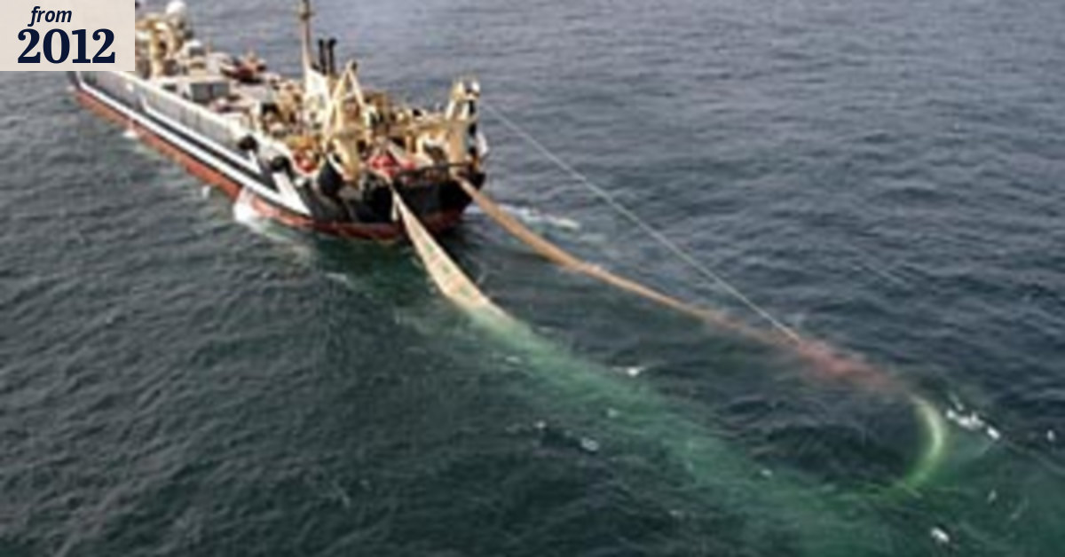 Scientist blasts trawler decision as 'staggering and dangerous'