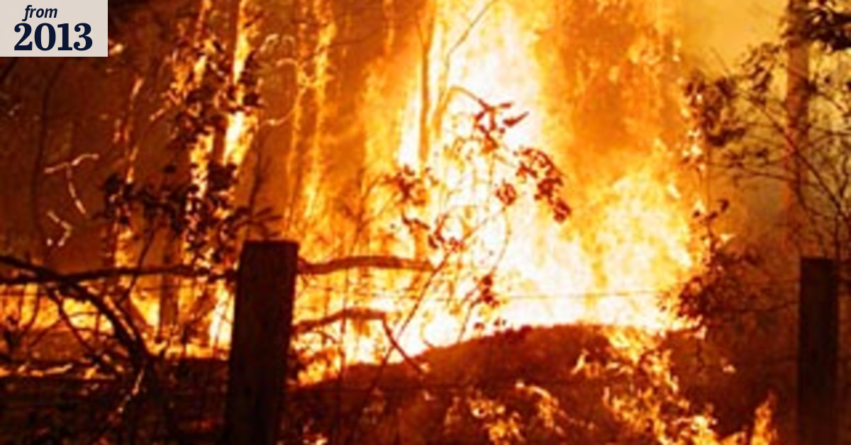 First 10-year bushfire plan calls for extra burning off
