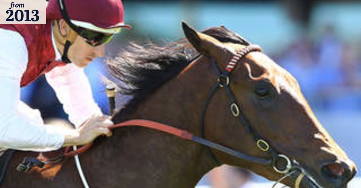 Bum rap upgrades Flight winner Guelph to Caviar class