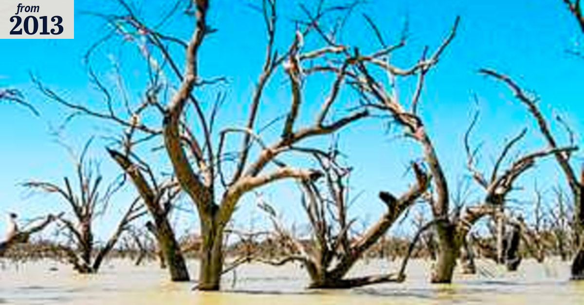 Murray-Darling endangered listing watered down