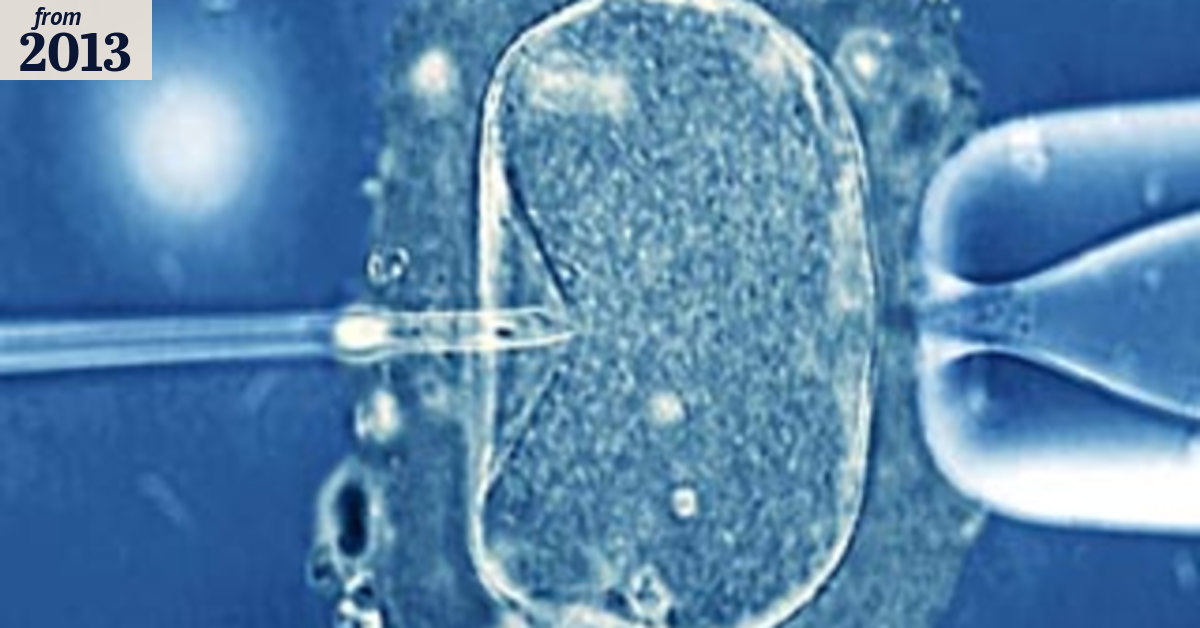 Embryos created for sale