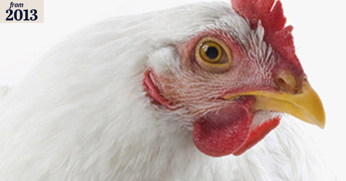 Steggles 'free to roam' chicken cramped in sheds: court
