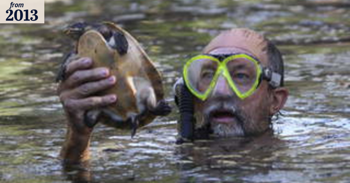 Turtle man