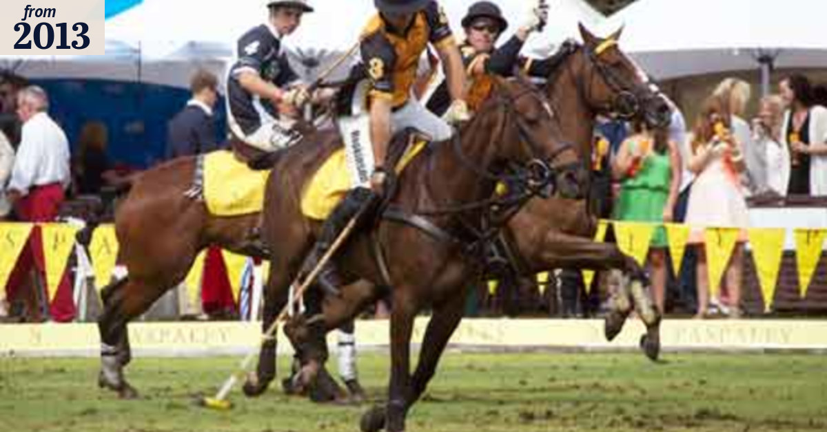 Horses for a very different course