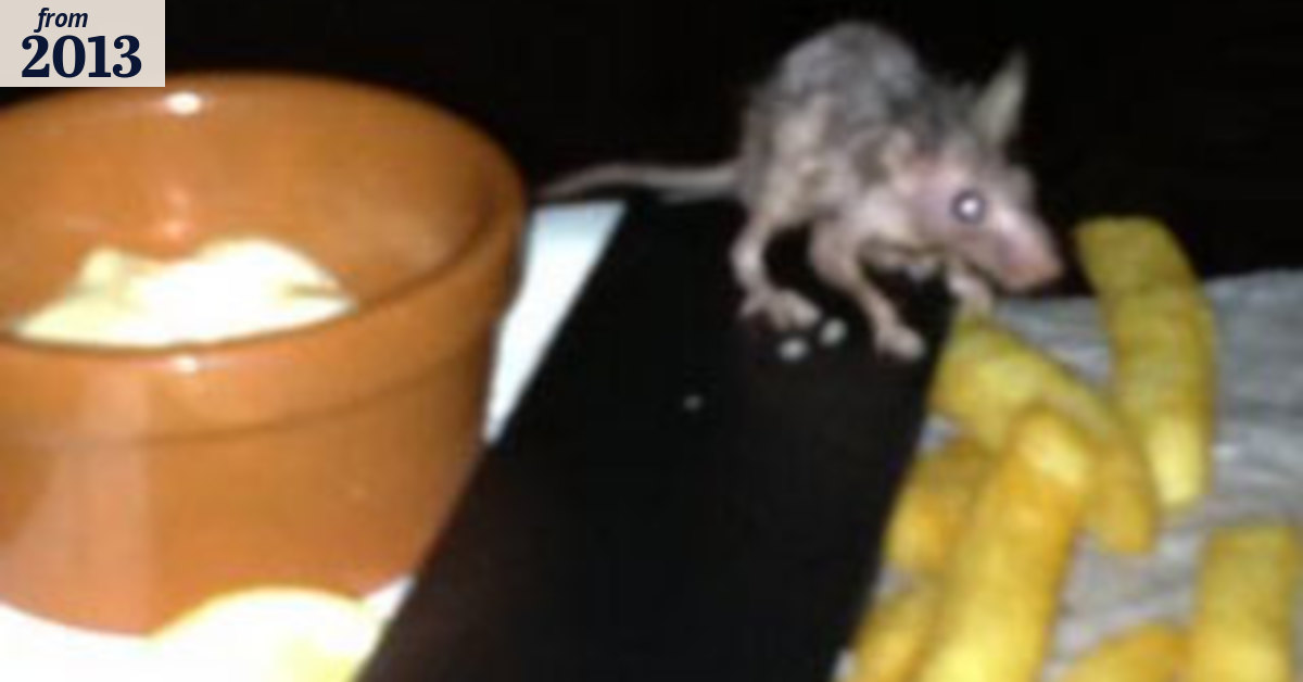 Perth cinema's rodent woes go back years