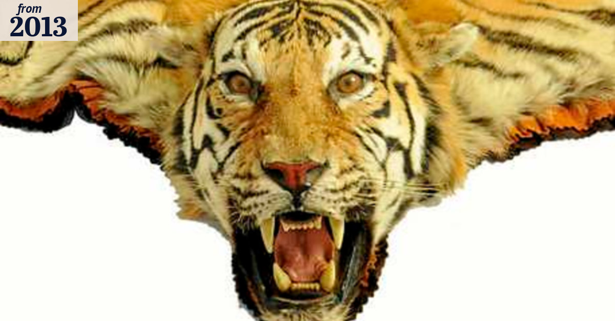 Antiques with animal magnetism