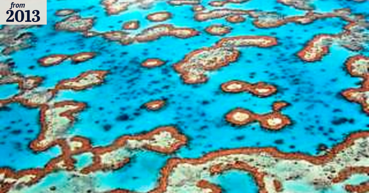 Sea level rise may be rapid, scientists say