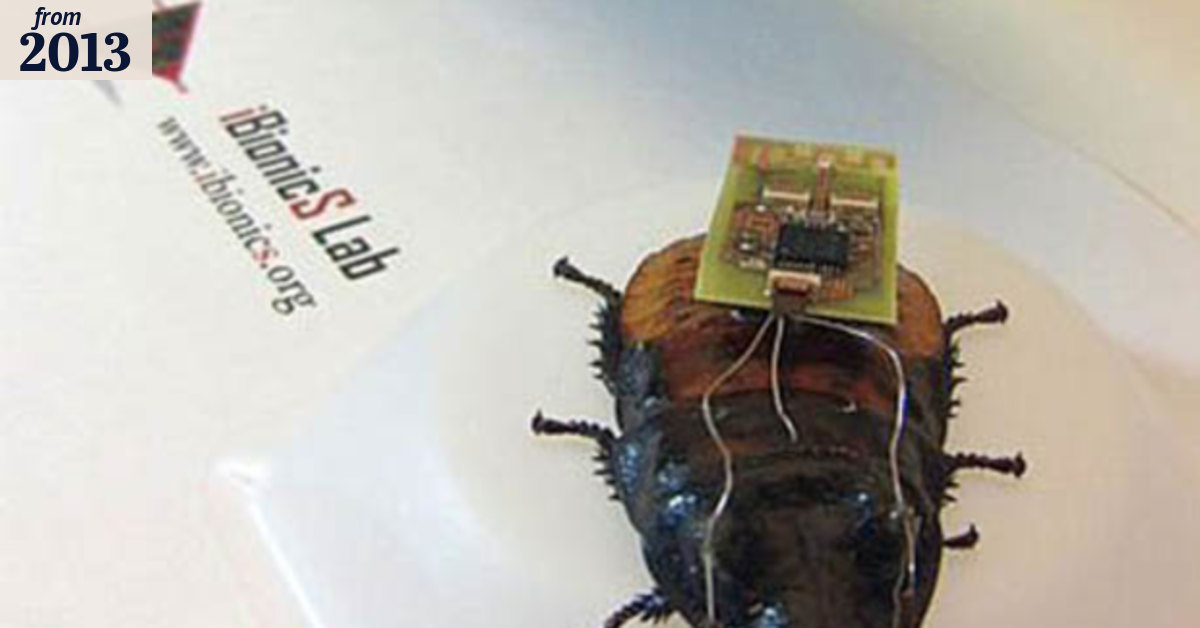 Controlling the minds of cockroaches using Microsoft's Xbox Kinect
