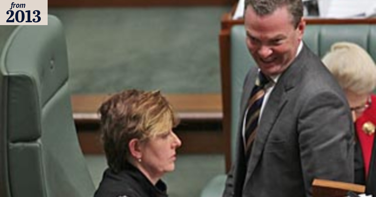 Pyne attacked over reform calls